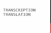 TRANSCRIPTION TRANSLATION. GENE EXPRESSION -process by which DNA directs protein synthesis two stages: transcription and translation.