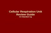 Cellular Respiration Unit Review Guide CA Standard 1g.