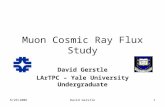 6/26/2006David Gerstle1 Muon Cosmic Ray Flux Study David Gerstle LArTPC – Yale University Undergraduate.