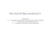 The Fourth Macromolecule!!! Objectives: 1.Describe the structure and function of DNA and RNA 2.Explain how DNA replicates itself 3.Explain the purpose.