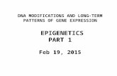 DNA MODIFICATIONS AND LONG-TERM PATTERNS OF GENE EXPRESSION EPIGENETICS PART 1 Feb 19, 2015.