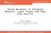 Doing Business in Emerging Markets: Legal Trends and Tips Asia Pacific Dominic Gyngell Vice President and Regional Counsel Asia Pacific, Middle East and.