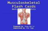 Musculoskeletal Flash Cards Neck, trunk, & Pelvis Prepared by: Feng-Yen Li Supervised by: Kim Topp.