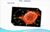 The Immune System. II. How diseases are spread 1.Physical contact 2. Contaminated food and water 3. Infected animals (vectors) III Fighting Infectious.