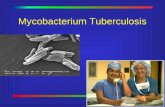 Mycobacterium Tuberculosis. Decline During 2000 - 16,377 cases of TB (5.8/100,000 of U.S. population) were reported to CDC 7% dec from 1999 39% dec.