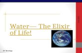 AP Biology Water— The Elixir of Life! 2004-2005. AP Biology Why are we studying water? All of the processes of life occur in water inside & outside the.