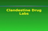 Clandestine Drug Labs. Extent of Problem l $175 of raw materials l 1 pound of pure methamphetamine l $32,000 street value.