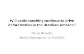 Will cattle ranching continue to drive deforestation in the Brazilian Amazon? Paulo Barreto Senior Researcher at IMAZON.