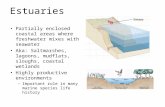 Estuaries Partially enclosed coastal areas where freshwater mixes with seawater Aka: Saltmarshes, lagoons, mudflats, sloughs, coastal wetlands Highly productive.