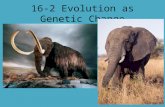 16-2 Evolution as Genetic Change. Natural selection does not directly act on genes, but instead upon the phenotypes they create. Natural selection on.