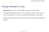 Copyright Pearson Prentice Hall Gregor Mendel’s Peas Genetics is the scientific study of heredity. Gregor Mendel was an Austrian monk. His work was important.