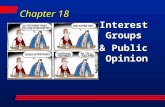 Chapter 18 Interest Groups & Public Opinion. Interest Group Organization A group of people united to promote a special interest. and influence the gov’t.