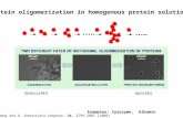 Protein oligomerization in homogenous protein solutions Crosslinker:GlutaraldehydeOHC-CH 2 -CH 2 -CH 2 -CHO Y. Wang and O. Annunziata Langmuir, 24, 2799-2807.