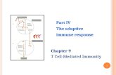 Part IV The adaptive immune response Part IV The adaptive immune response Chapter 9 T Cell-Mediated Immunity Chapter 9 T Cell-Mediated Immunity 1.