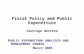 Fiscal Policy and Public Expenditure Santiago Herrera PUBLIC EXPENDITURE ANALYSIS AND MANAGEMENT COURSE March 2005.