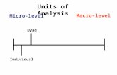 Micro-level Macro-level Individual Dyad Units of Analysis.