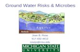 Ground Water Risks & Microbes Joan B. Rose 517-432-4412 rosejo@msu.edu.