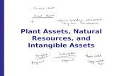 Plant Assets, Natural Resources, and Intangible Assets.