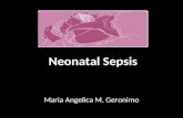 Neonatal Sepsis Maria Angelica M. Geronimo. Epidemiology Newborn Health in the Philippines: A Situation Analysis June 2004.