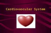 Cardiovascular System. Functions of the Cardiovascular System Supply all body tissues with oxygen and nutrients Transport cellular waste products to the.
