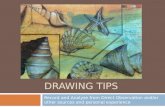 DRAWING TIPS Record and Analyse from Direct Observation and/or other sources and personal experience.