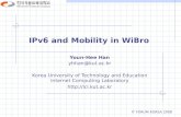 IPv6 and Mobility in WiBro Youn-Hee Han yhhan@kut.ac.kr Korea University of Technology and Education Internet Computing Laboratory .