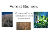 Forest Biomes -Coniferous Forests -Deciduous Forests -Rain Forests.
