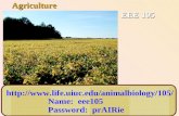 EEE 105  Name: eee105 Password: prAIRie Agriculture.