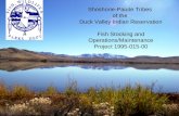 Shoshone-Paiute Tribes of the Duck Valley Indian Reservation Fish Stocking and Operations/Maintenance Project 1995-015-00.