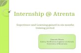 Internship @ Atrenta Experience and Learning gained in six months training period Zamrath Nizam Intern, Verification Engineer at Atrenta University of.