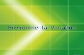 Environmental Variation D. Crowley, 2007. Environmental Variation  To understand how environmental variation occurs.