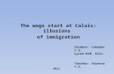 The wogs start at Calais: illusions of immigration Student: Lebedev I.V. Lycee №10, Klin Teacher: Voynova T.S. 2015.