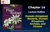 Chapter 14 Lecture Outline Domain (Kingdom) Bacteria, Domain (Kingdom) Archaea, and Viruses Copyright © The McGraw-Hill Companies, Inc. Permission required.