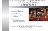Perceptual Organization of Curvilinear Structures Laurent Alquier Research Director : Chabane Oussalah Professor Thesis Advisor : Philippe Montesinos Assistant.