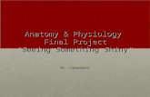 Anatomy & Physiology Final Project "Seeing Something Shiny" Mr. Capodagli.