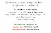 Transcription regulation: a genomic network Nicholas Luscombe Laboratory of Mark Gerstein Department of Molecular Biophysics and Biochemistry Yale University.