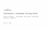March 25, 2004 California’s Statewide Pricing Pilot Larsh Johnson – President and Chief Technical Officer, eMeter.