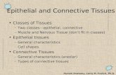 Human Anatomy, Larry M. Frolich, Ph.D. Epithelial and Connective Tissues Classes of Tissues –Two classes—epithelial, connective –Muscle and Nervous Tissue.