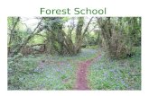 Forest School. What is Forest School? Woodland setting Programme of sessions Trained Leader.