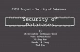 CS551 Project - Security of Databases Security of Databases By Christopher DiBiagio-Wood Yves LéPouchard Yiting Nan Kendrick Hang Ted Hsu.