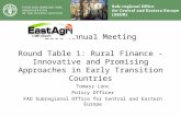 2006 Annual Meeting Round Table 1: Rural Finance - Innovative and Promising Approaches in Early Transition Countries Tomasz Lonc Policy Officer FAO Subregional.