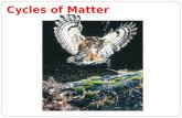 Slide 1 of 33 Cycles of Matter. Recycling in the Biosphere Energy and matter move through the biosphere very differently. Unlike the one-way flow of energy,