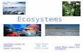 Ecosystems Sunshine State Standards Great Activity Quiz Learn More about Environments Julie Ramos EME 2040 First Grade.