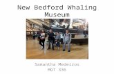 New Bedford Whaling Museum Samantha Medeiros MGT 336.