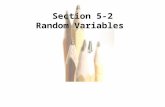 5.1 - 1 Copyright © 2010, 2007, 2004 Pearson Education, Inc. Section 5-2 Random Variables.
