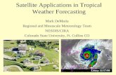 Satellite Applications in Tropical Weather Forecasting Mark DeMaria Regional and Mesoscale Meteorology Team NESDIS/CIRA Colorado State University, Ft.