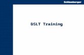 DSLT Training. Contents Introduction to sonic logging Physics of measurement Hardware Description Software Description Operational Hints.