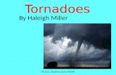 Tornadoes By Haleigh Miller Picture: Daphne zaras NOAA.