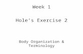 Week 1 Hole’s Exercise 2 Body Organization & Terminology.