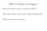 Why is water so unique? Why Can water bugs run across a pond? Why does water have such a high boiling point? Why can we live on earth?